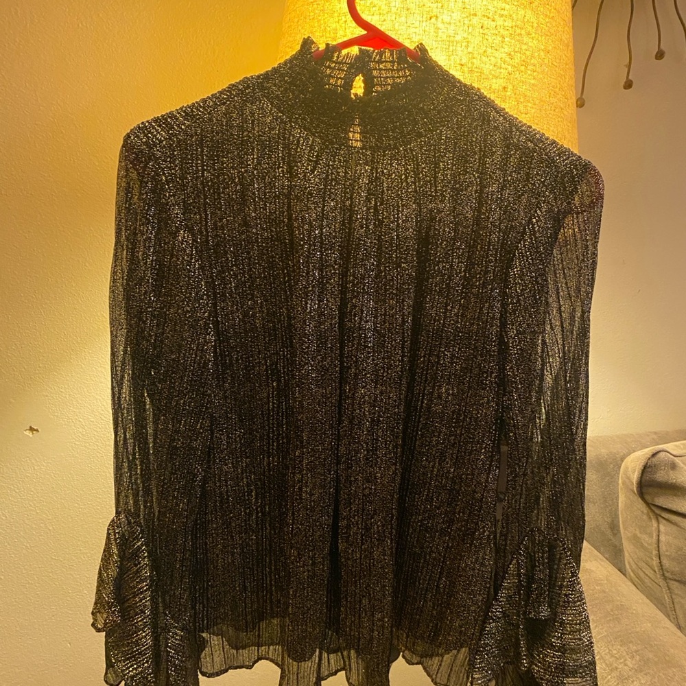 Harper Black Sheer Blouse